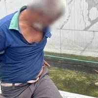51歲男脫光進水池「性侵鯉魚」　認了本來想洗澡：看魚游動勾起慾望